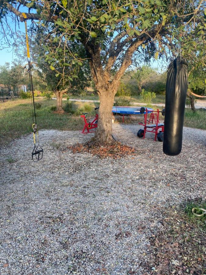 פדרנה Ses Quinta Luxury Safari Tents מראה חיצוני תמונה