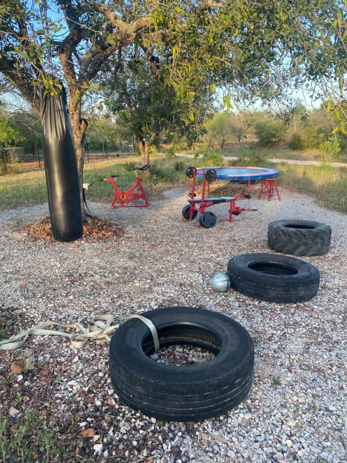 פדרנה Ses Quinta Luxury Safari Tents מראה חיצוני תמונה