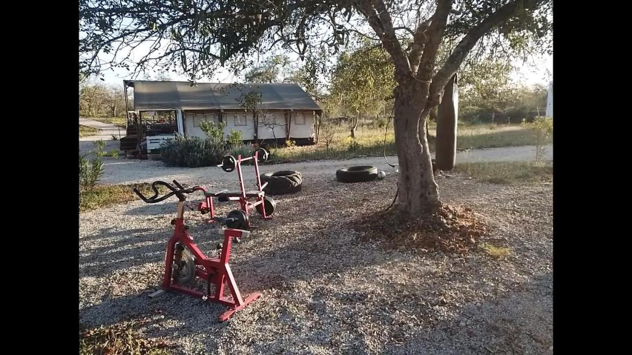 פדרנה Ses Quinta Luxury Safari Tents מראה חיצוני תמונה